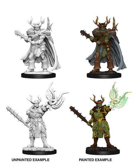 PFDC Male Half-Orc Druid 73853 image 0